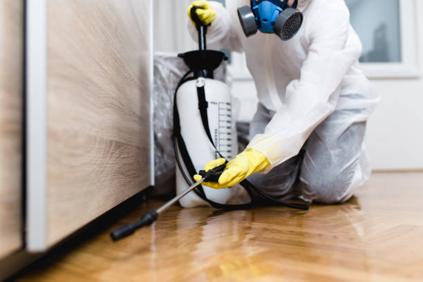Best Cockroach Control Services  in Crainvle, IL