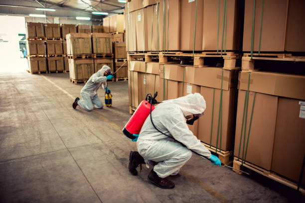 Best Pest Removal Services  in Crainvle, IL