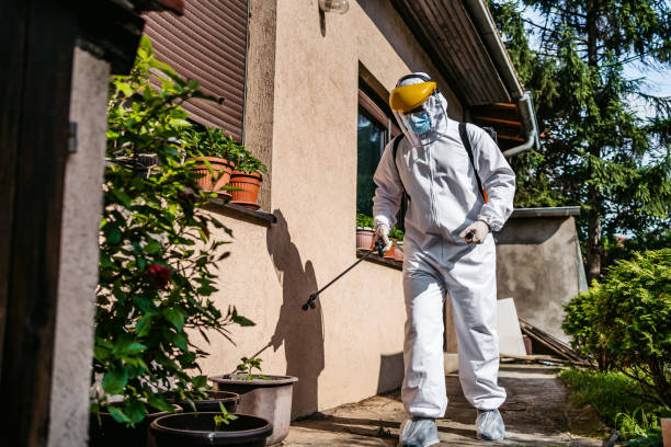 Best Residential Pest Control  in Crainvle, IL