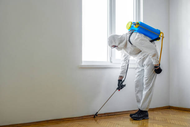 Best Pest Removal Services  in Crainvle, IL