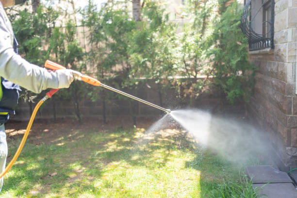 Best Pest Inspection Near Me  in Crainvle, IL