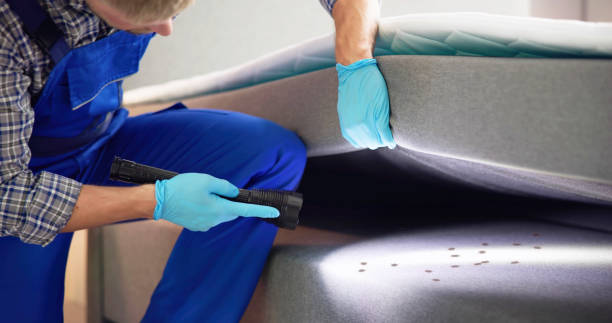 Best Ant Control Services  in Crainvle, IL