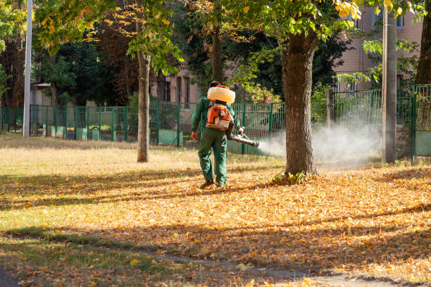 Best Best Pest Control Companies  in Crainvle, IL