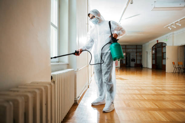 Best Affordable Exterminators  in Crainvle, IL